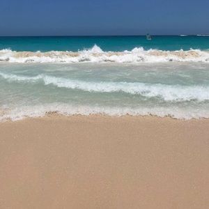 Meet your Posher, Jen